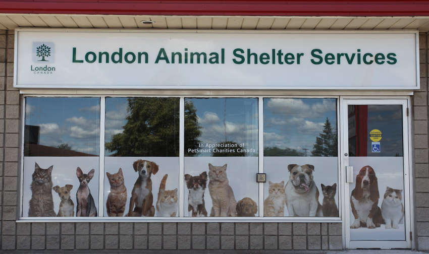 London Animal Shelter Services
