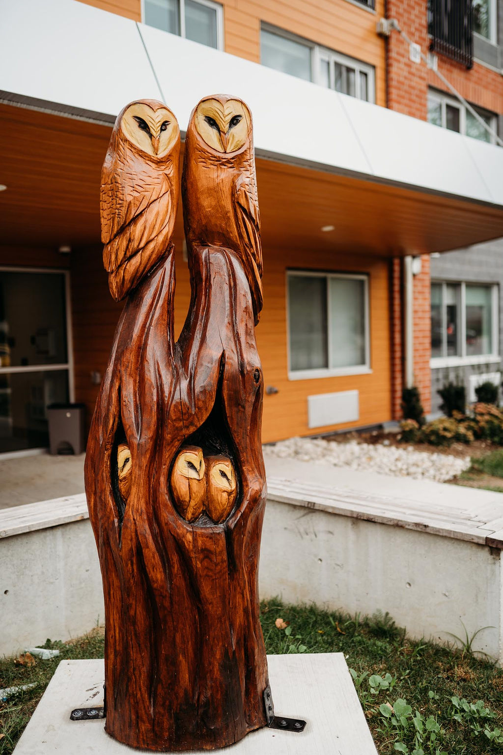 Owl Family wood carving artwork. 