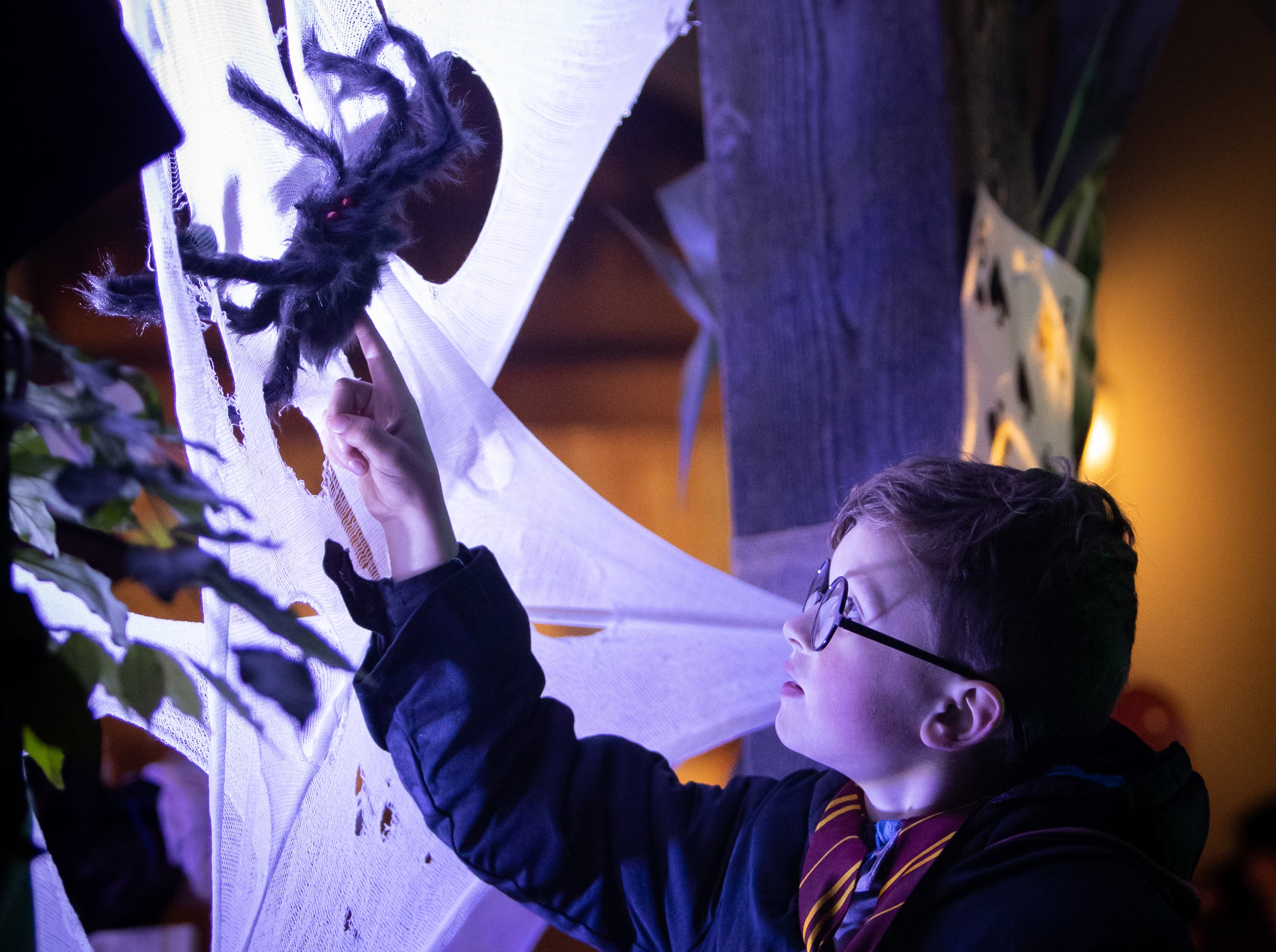 Child in a Harry Potter custome gazes at one of the StoryBOO decorations, which is a large tarantula. 