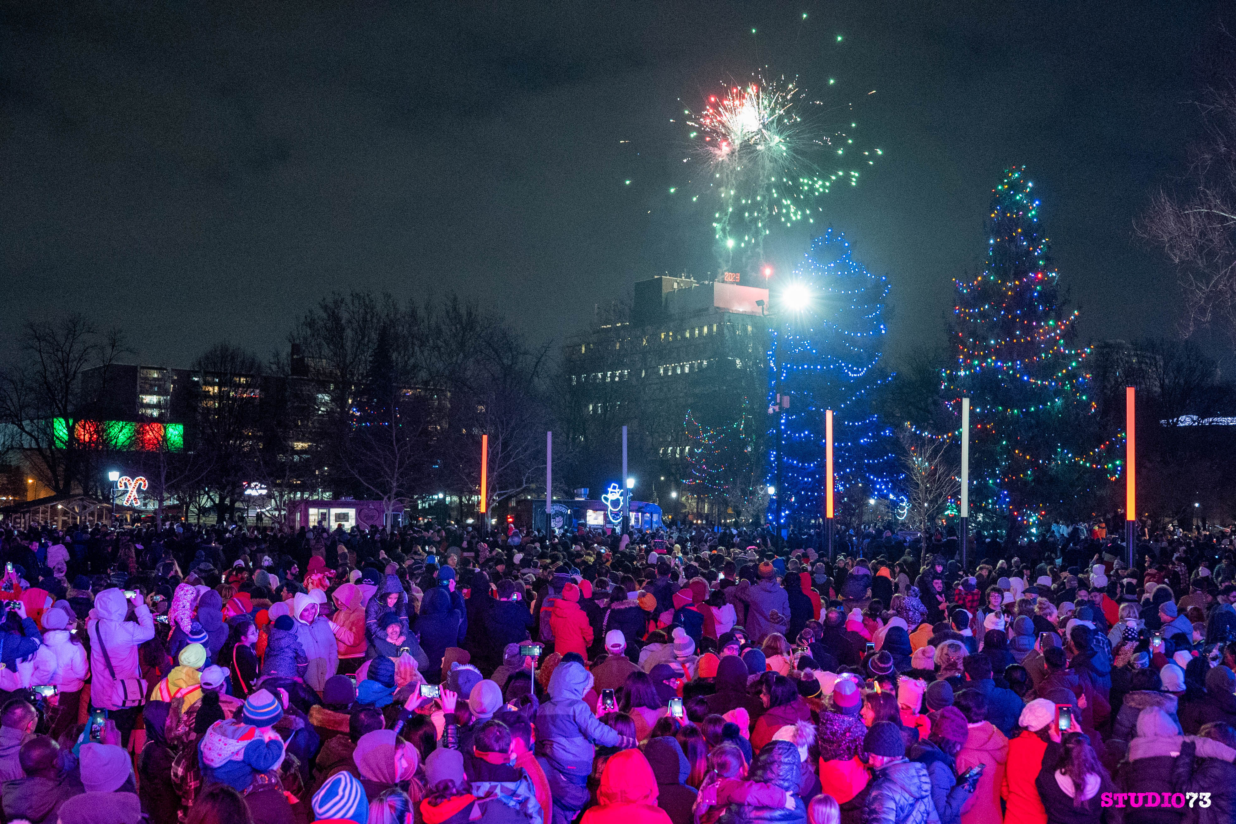 Large crowd at Victoria Park watching New Year's Eve fireworks