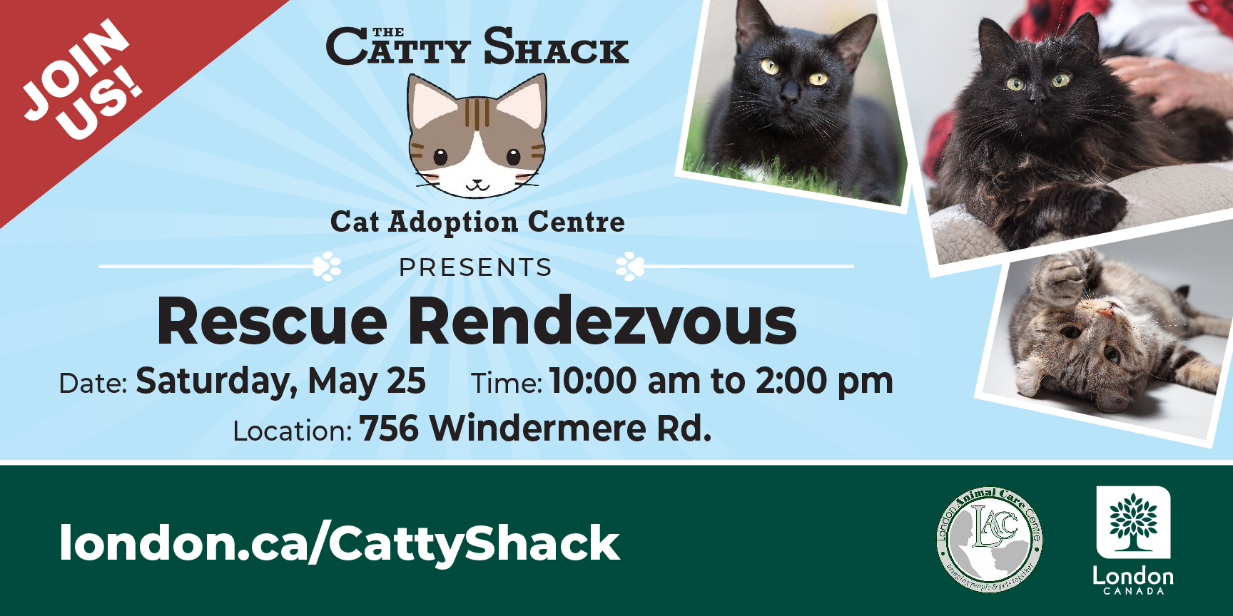 Cat Adoption event poster