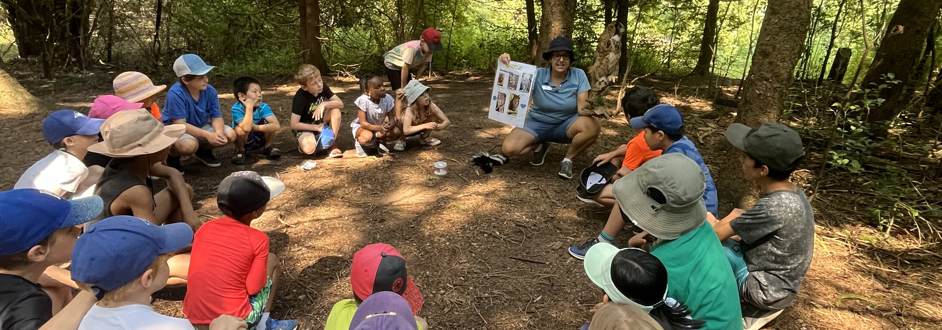 Children from the Junior Forest Rangers at Fairmont Forest Day Camp gather around in a circle in the forest to look at an adult holding a sign about insects.