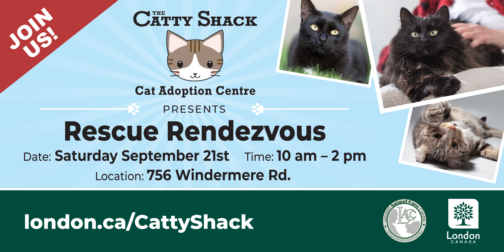 Rescue Rendezvous Cat Adoption Event September 21, 2024 City of