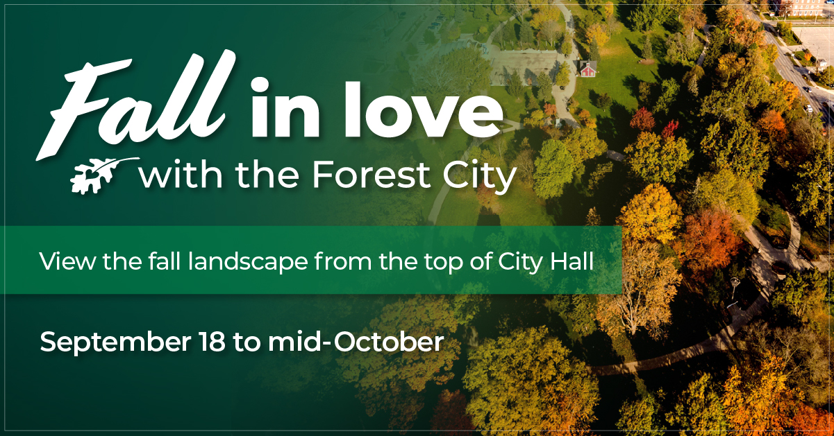 Fall in Love with the Forest City banner. 