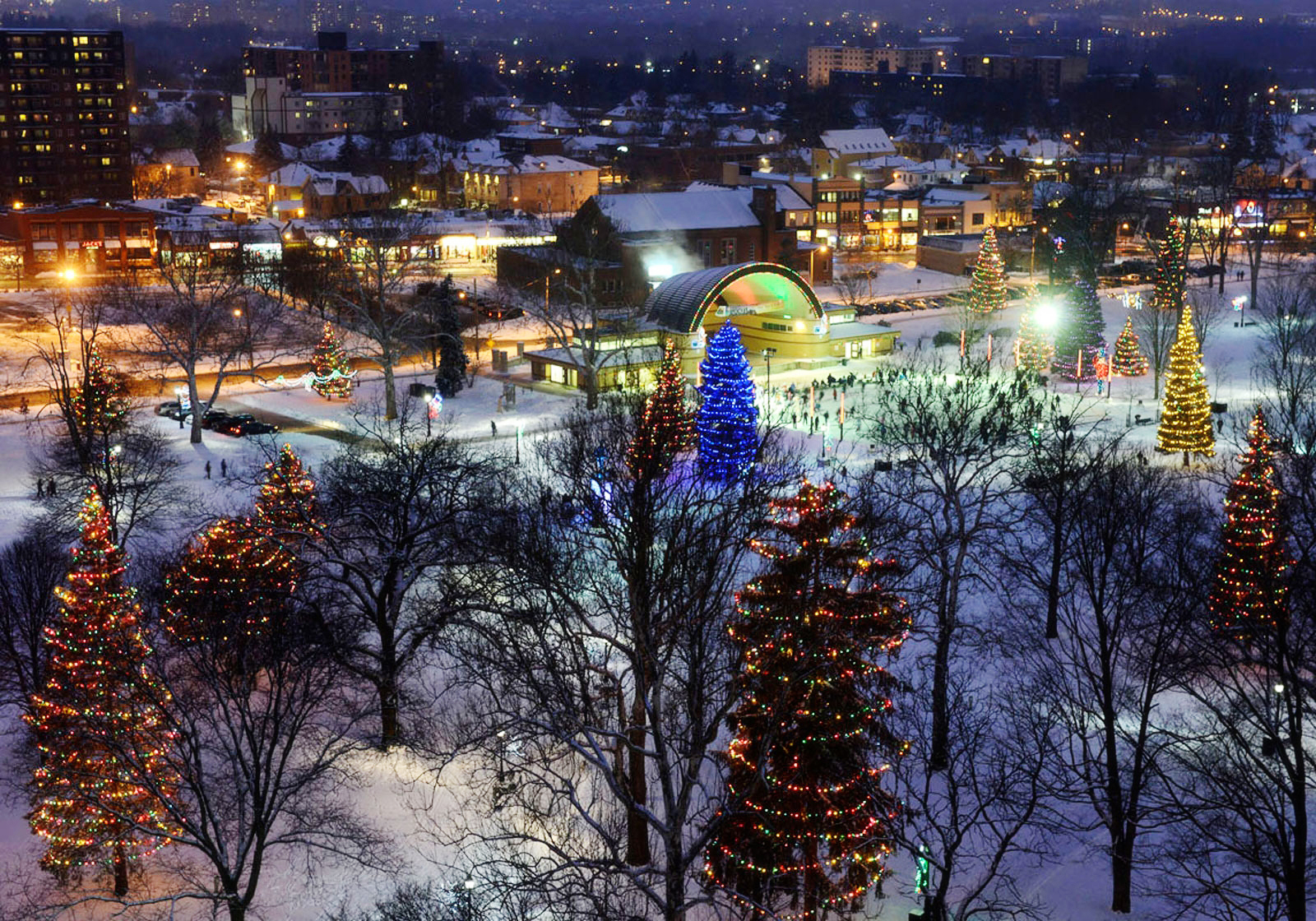 A photograph of the winter lights in Victoria Park