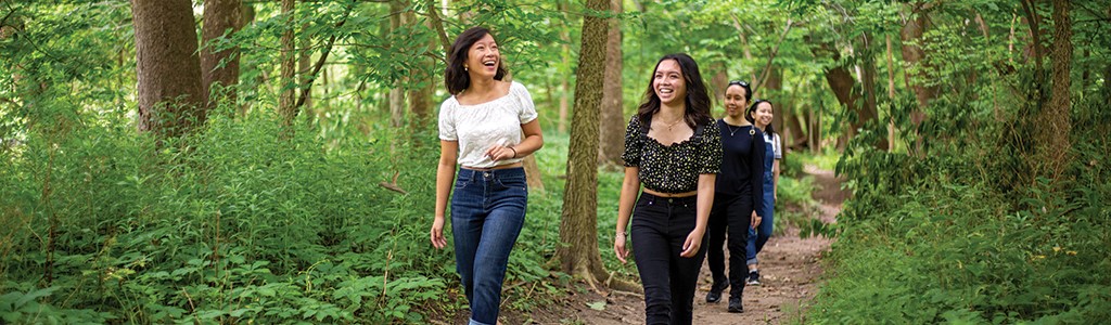 People walking on a trail in the forest