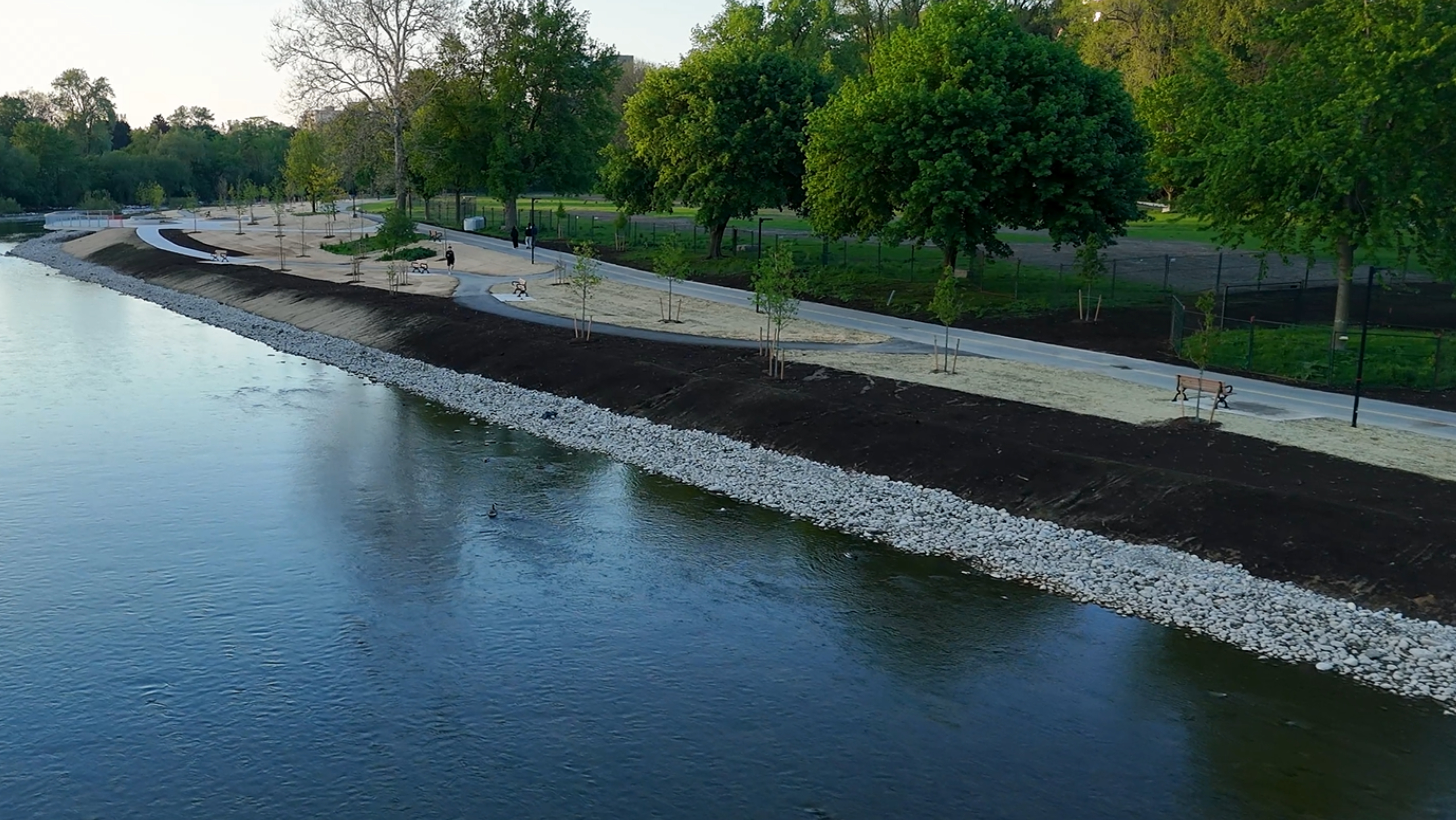 Harris Park shoreline restoration