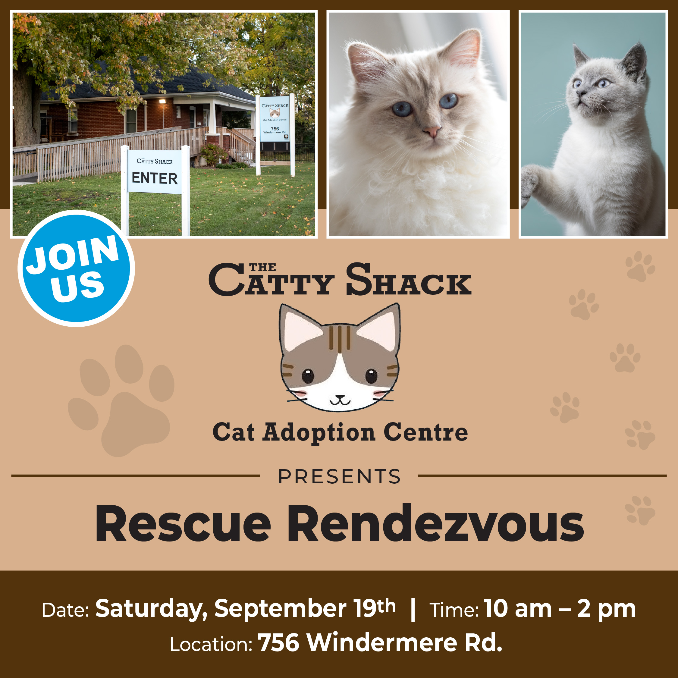Catty Shack cat adoption event September 19, 2026