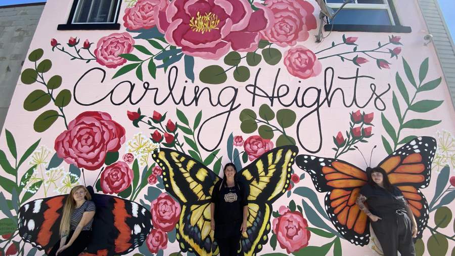 Photograph of a pink mural covered with flowers and butterflies.