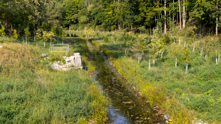 Mud Creek after the first phase of construction was completed to improve the creek near Wonderland Road and Riverside Drive in 2023.